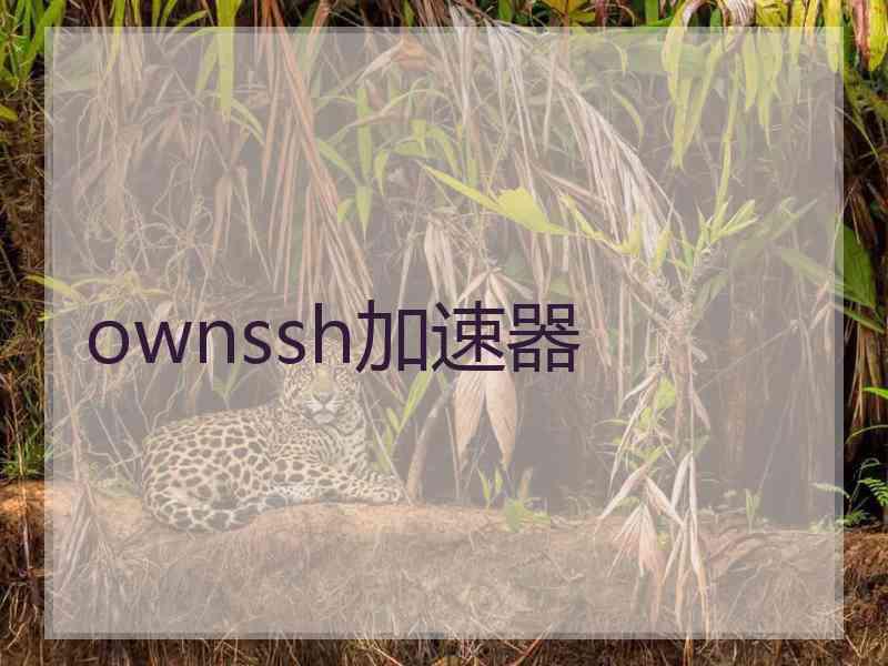 ownssh加速器