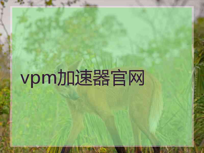 vpm加速器官网