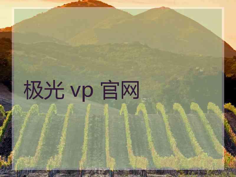 极光 vp 官网