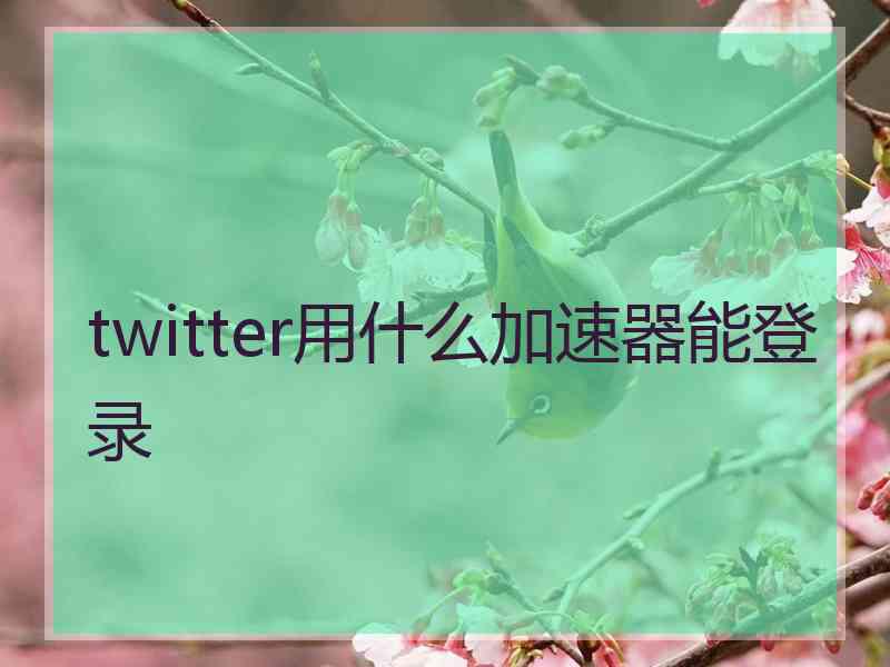 twitter用什么加速器能登录