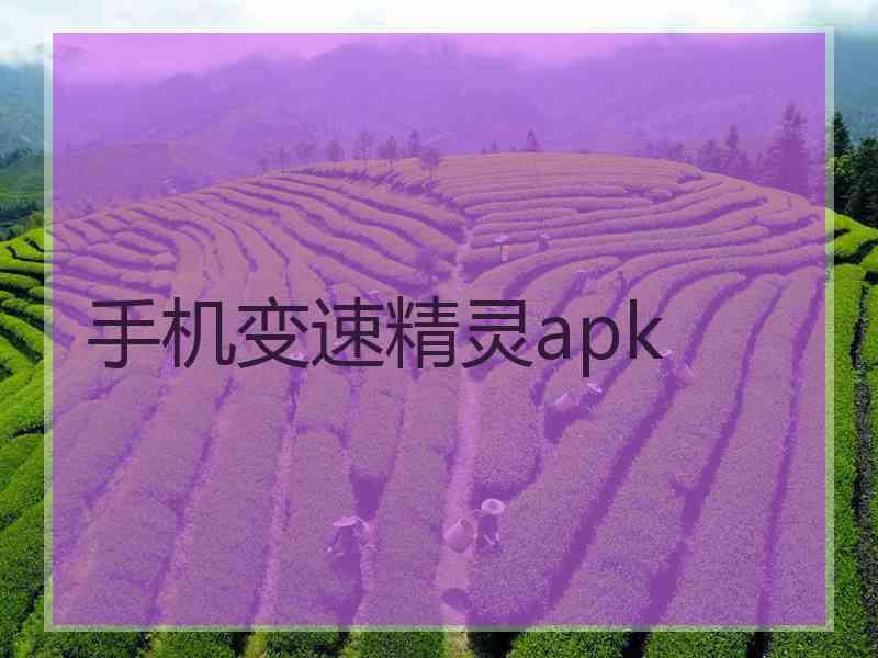 手机变速精灵apk