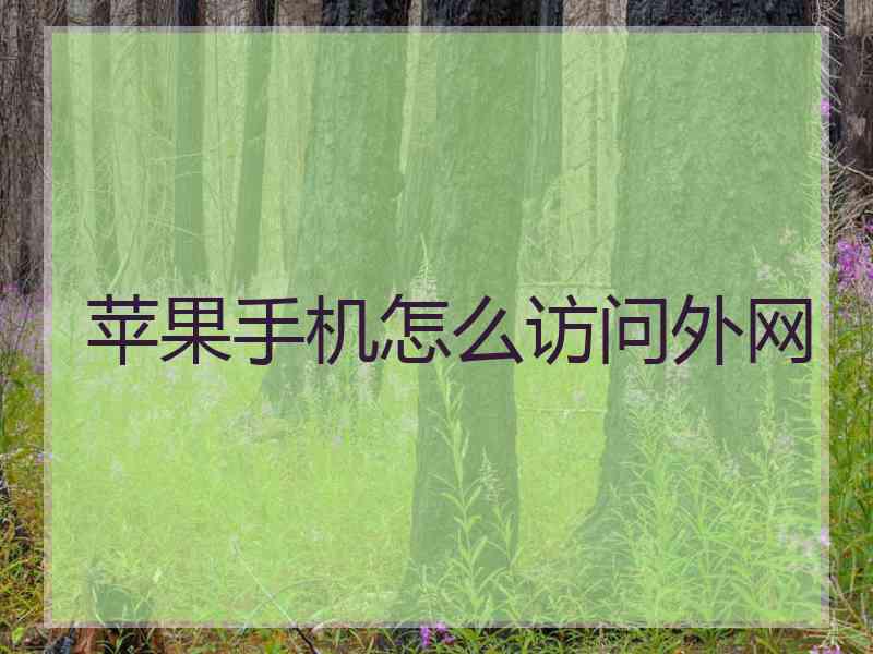 苹果手机怎么访问外网