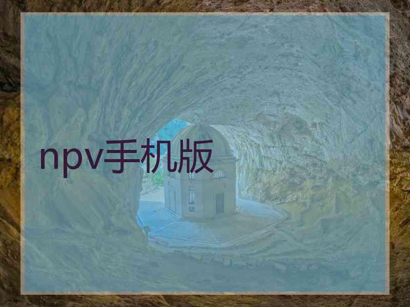 npv手机版