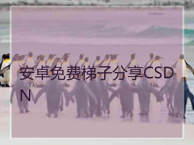 安卓免费梯子分享CSDN