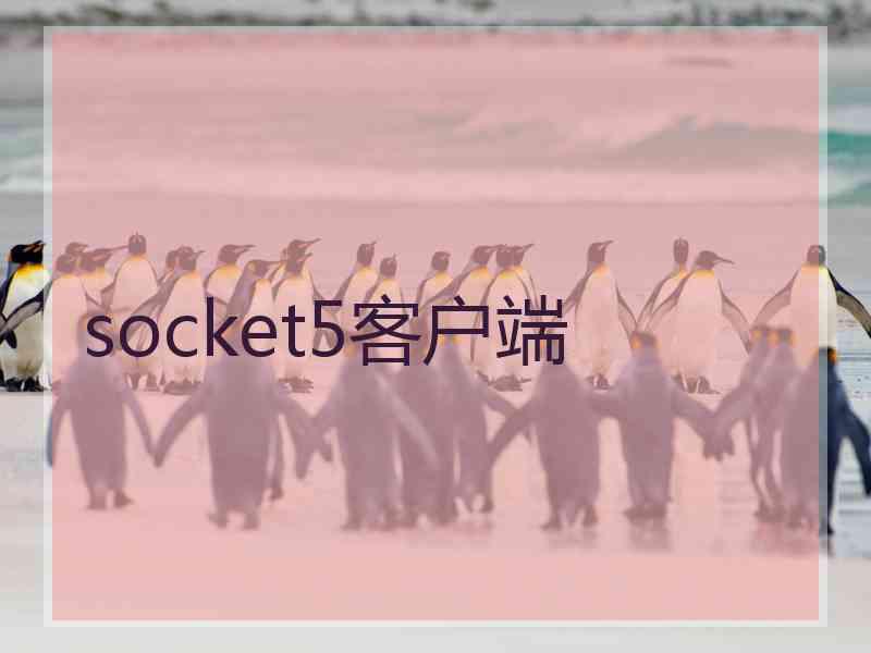 socket5客户端