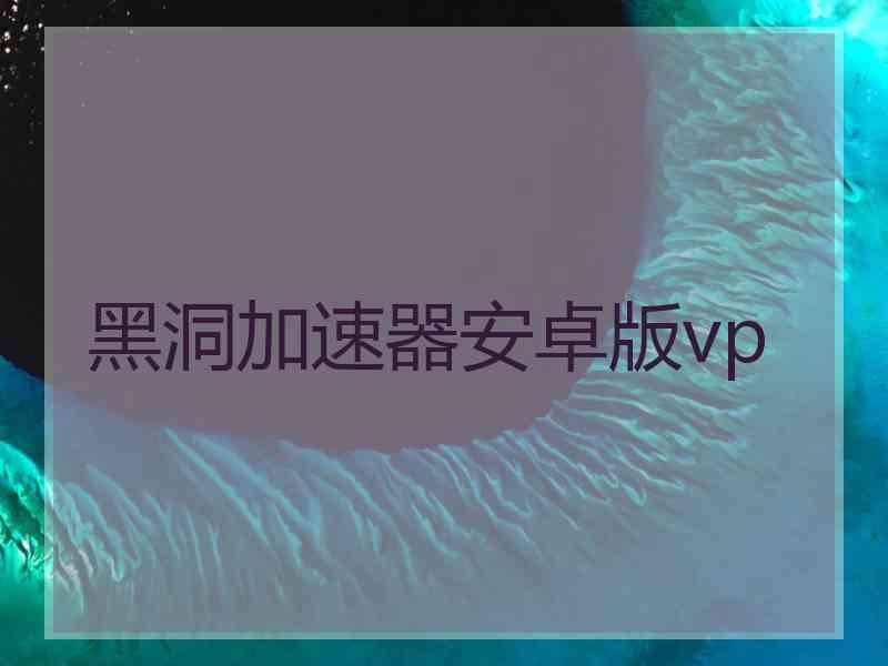 黑洞加速器安卓版vp