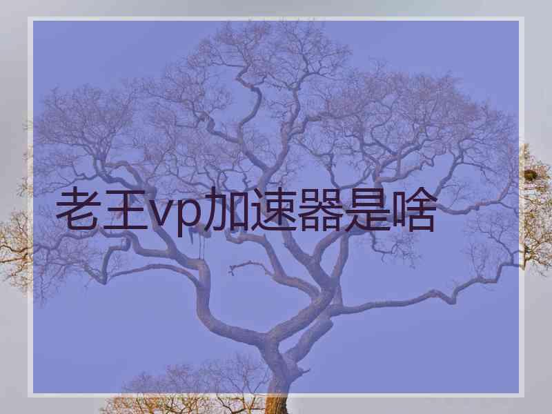 老王vp加速器是啥