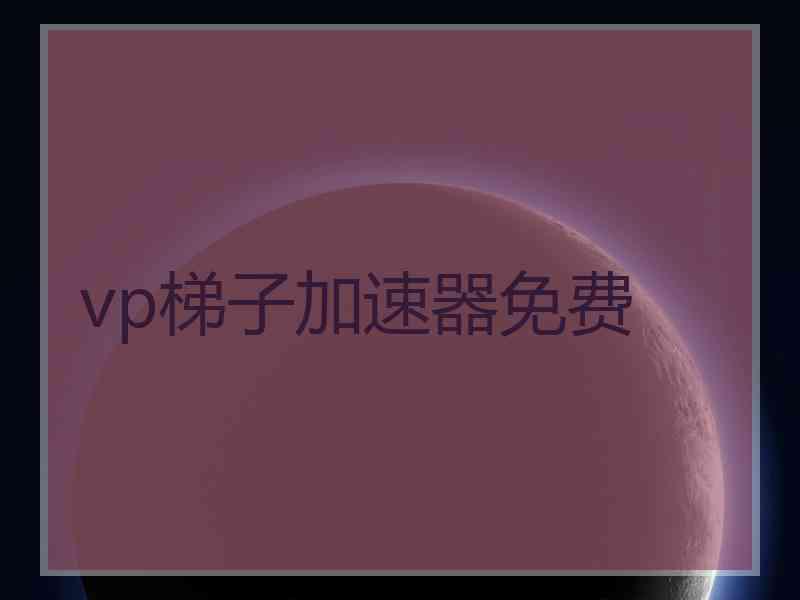 vp梯子加速器免费