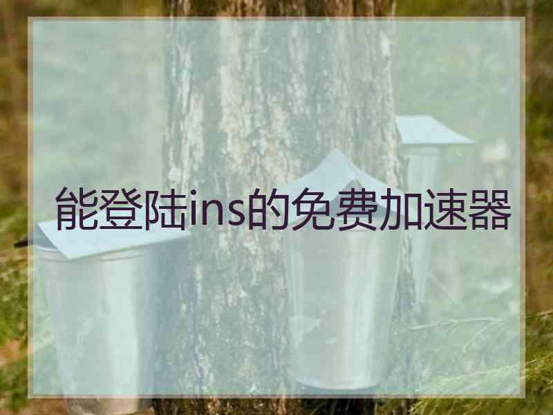 能登陆ins的免费加速器