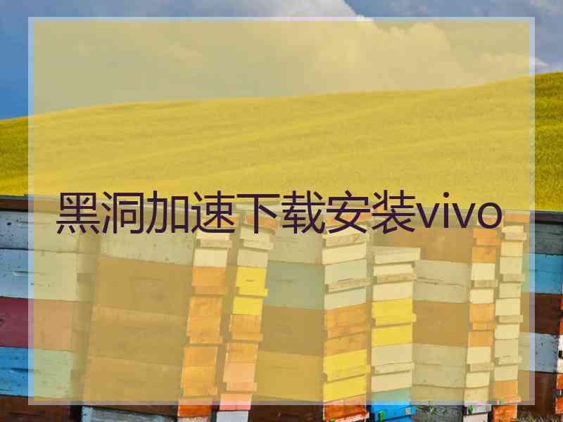 黑洞加速下载安装vivo