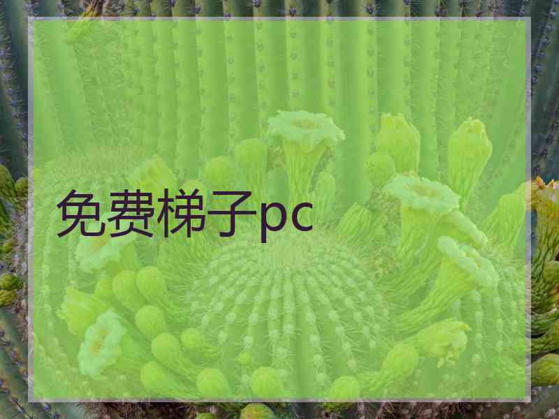 免费梯子pc