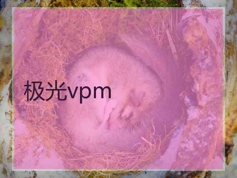 极光vpm