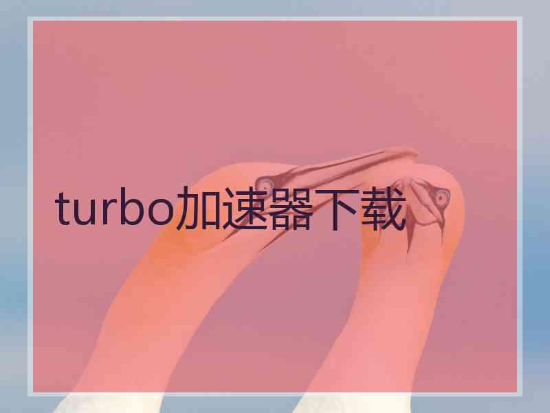 turbo加速器下载