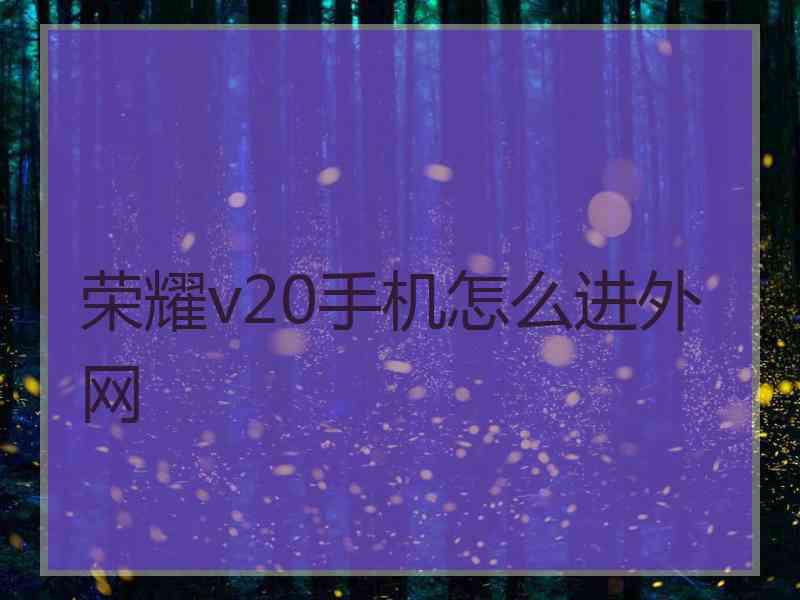 荣耀v20手机怎么进外网