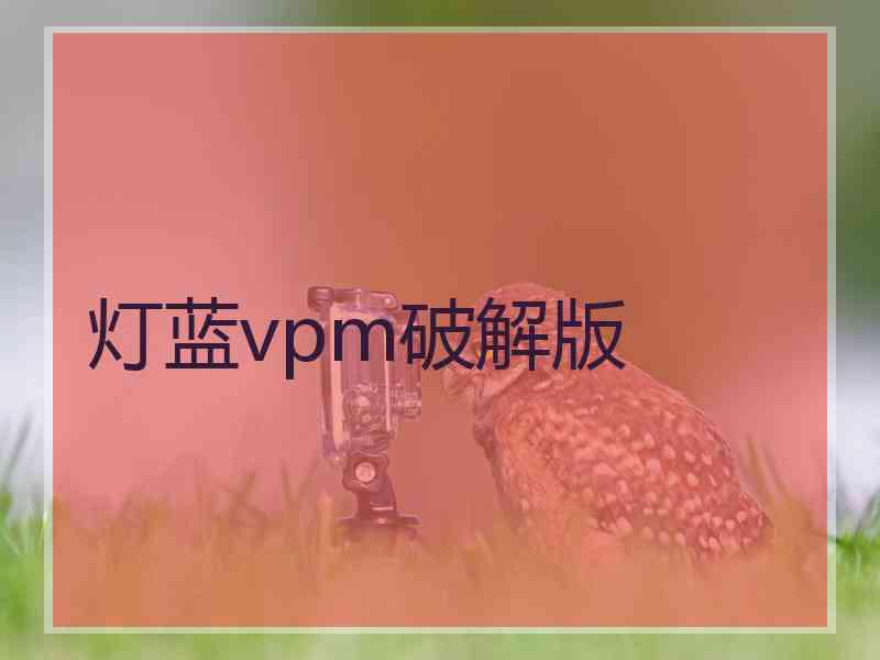 灯蓝vpm破解版