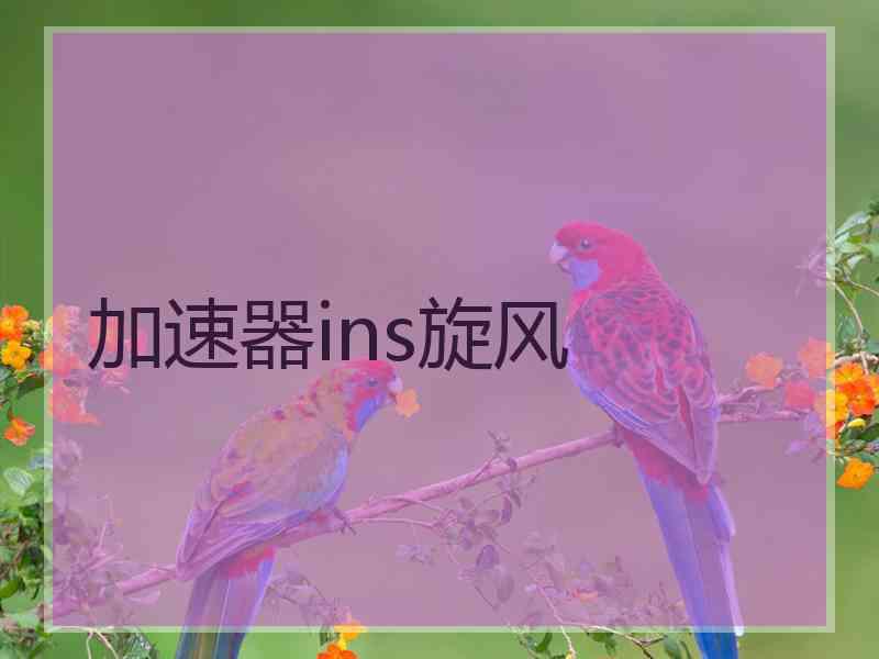 加速器ins旋风