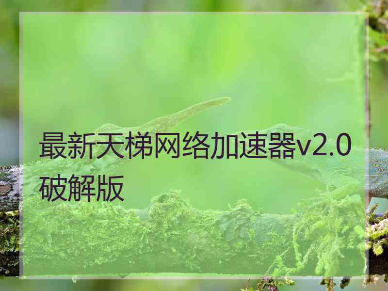 最新天梯网络加速器v2.0破解版