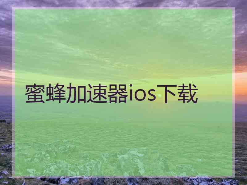 蜜蜂加速器ios下载