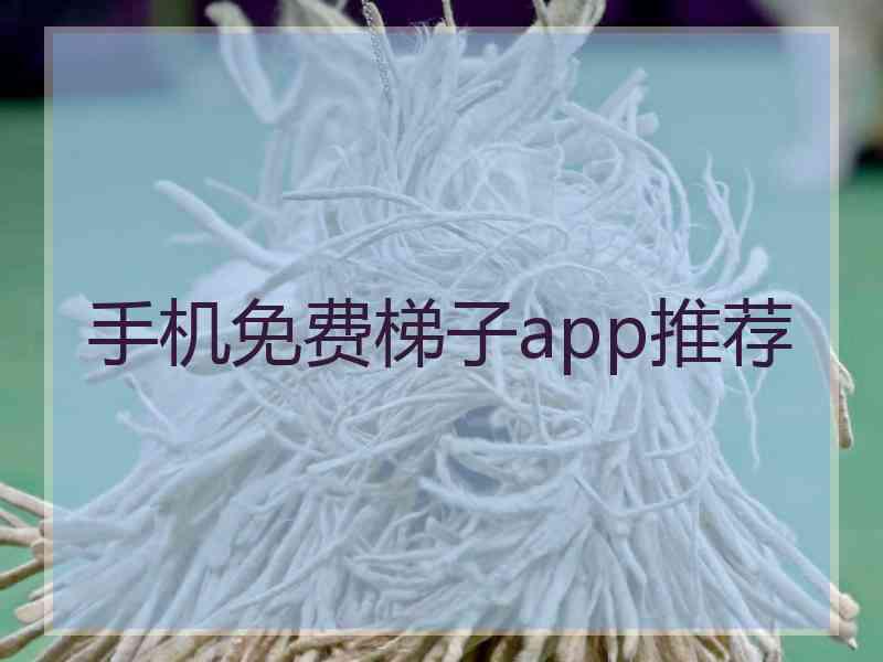 手机免费梯子app推荐