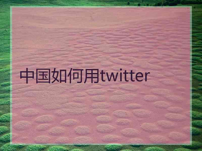 中国如何用twitter