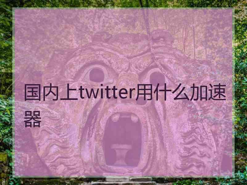 国内上twitter用什么加速器