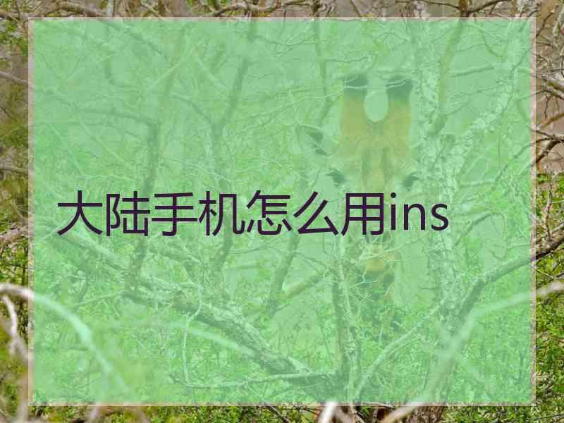 大陆手机怎么用ins