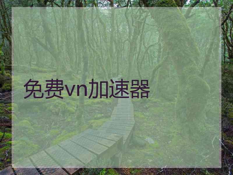 免费vn加速器