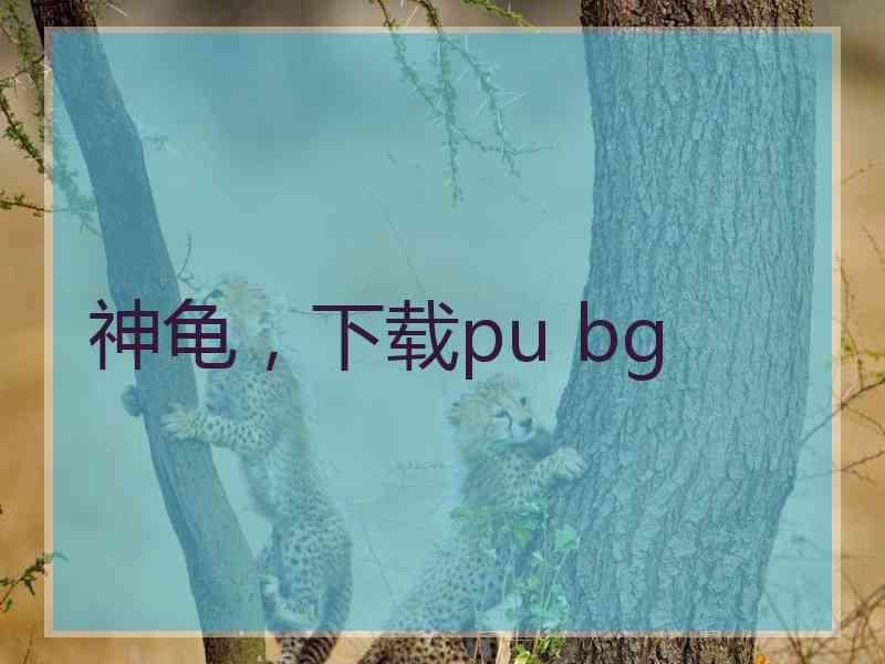 神龟，下载pu bg