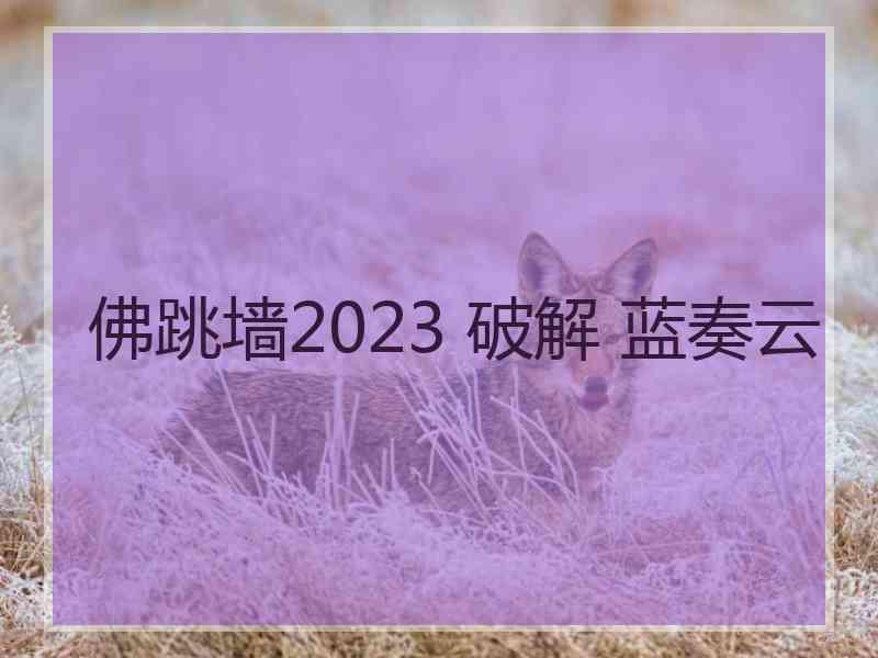 佛跳墙2023 破解 蓝奏云