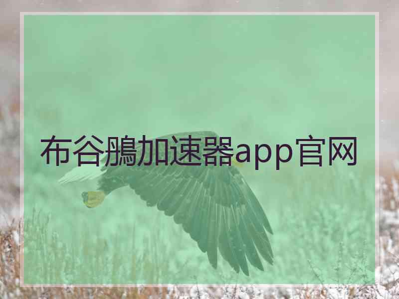 布谷鴅加速器app官网