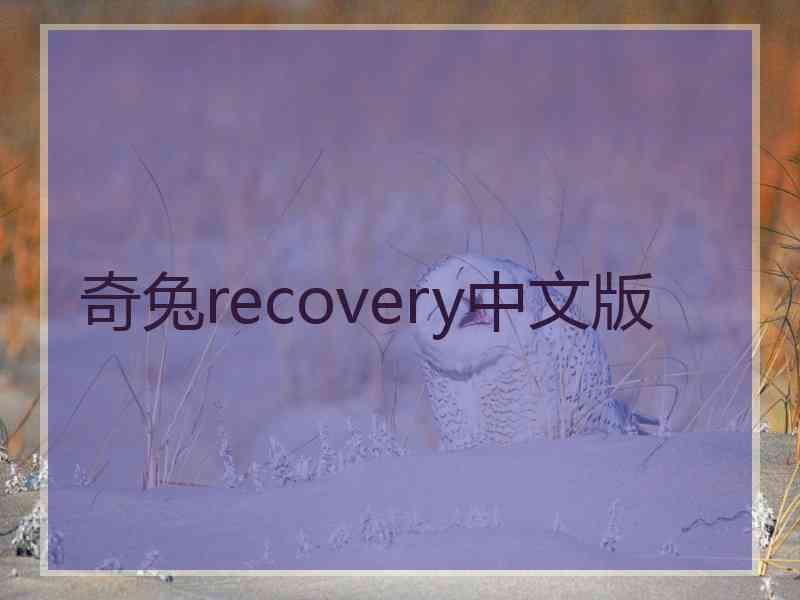 奇兔recovery中文版