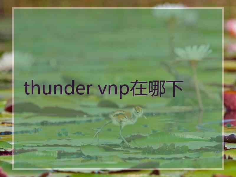 thunder vnp在哪下