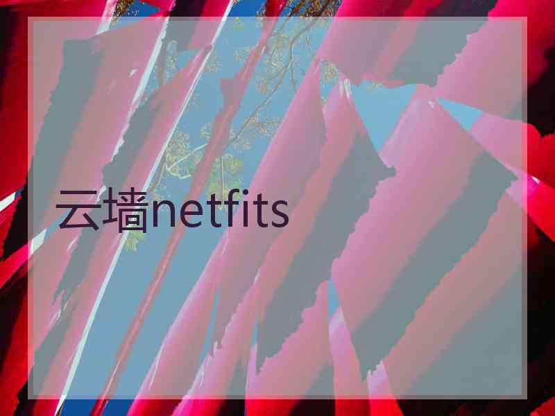 云墙netfits