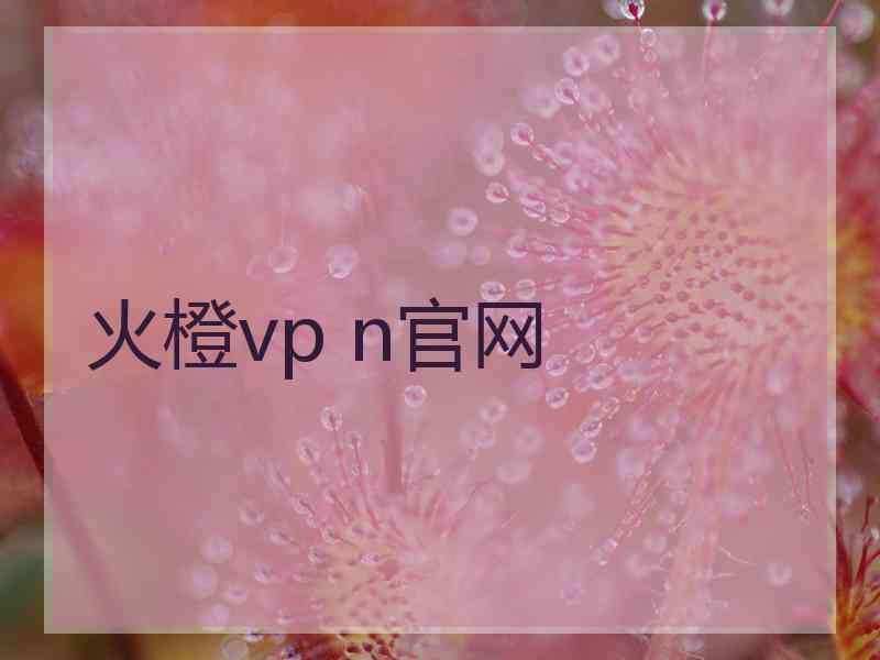 火橙vp n官网