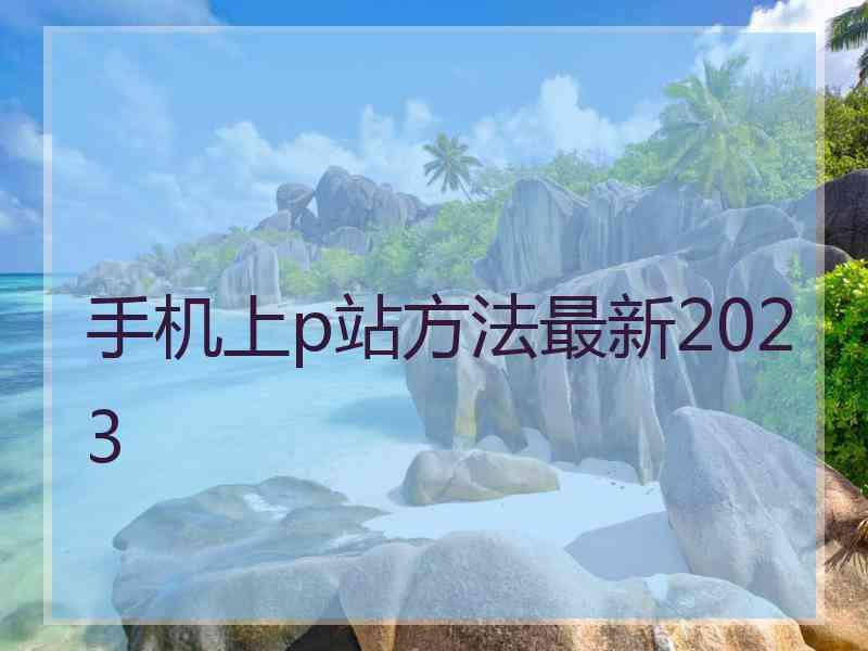 手机上p站方法最新2023