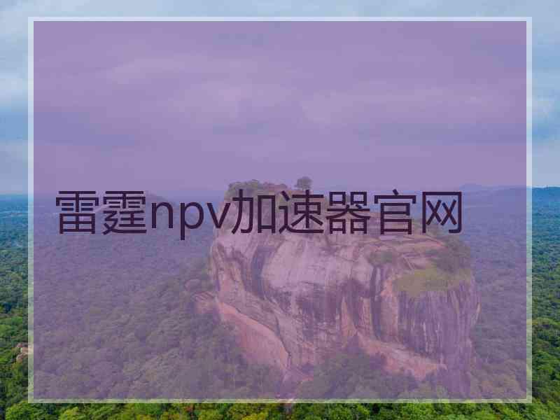 雷霆npv加速器官网