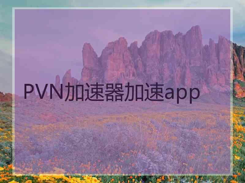 PVN加速器加速app