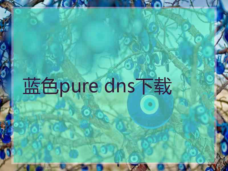 蓝色pure dns下载