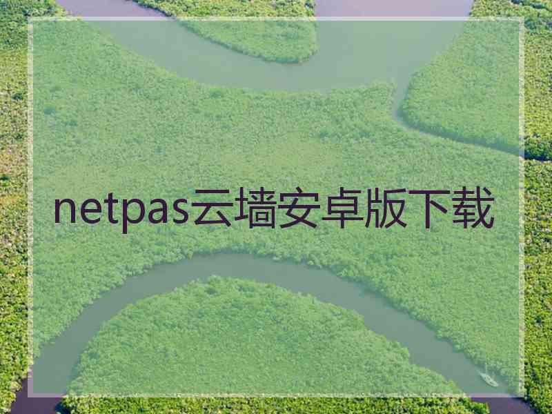 netpas云墙安卓版下载