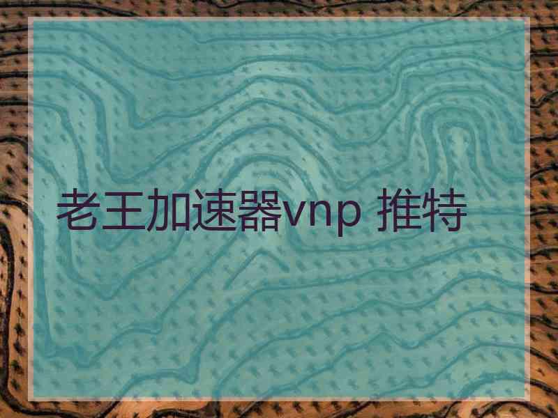 老王加速器vnp 推特