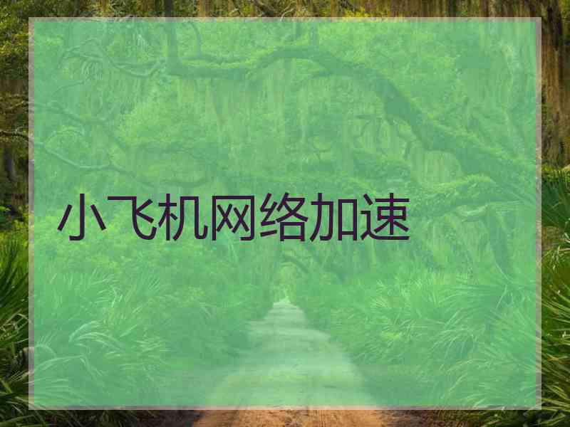 小飞机网络加速