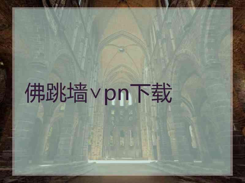 佛跳墙∨pn下载