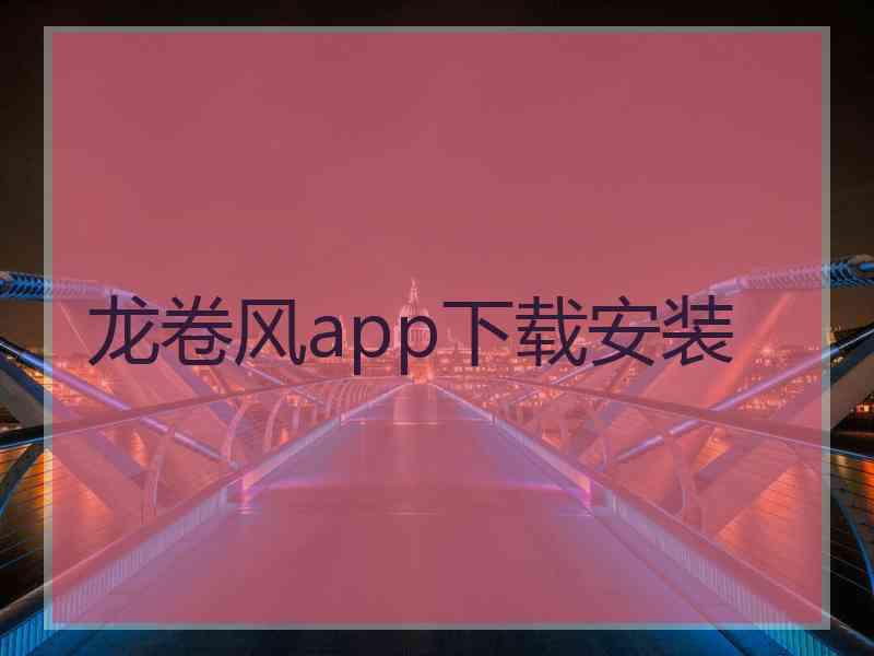 龙卷风app下载安装