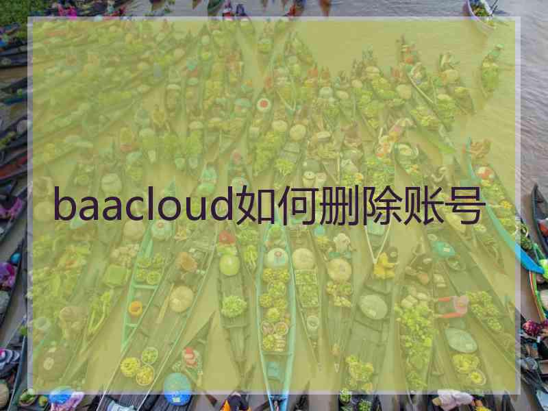 baacloud如何删除账号