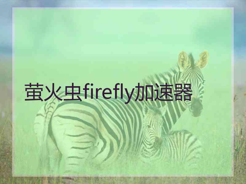 萤火虫firefly加速器