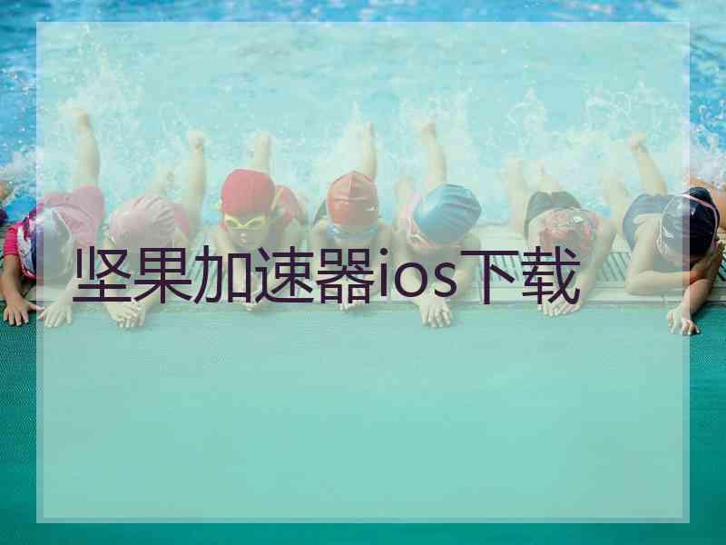 坚果加速器ios下载