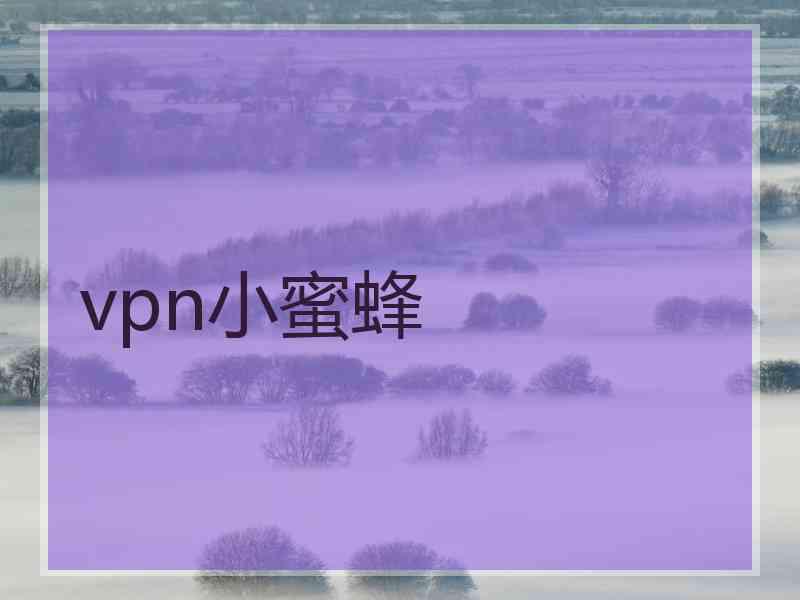 vpn小蜜蜂